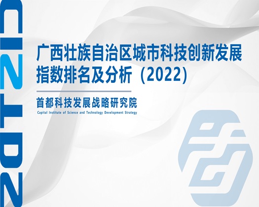 操逼狠【成果发布】广西壮族自治区城市科技创新发展指数排名及分析（2022）